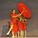 3731641.jpg
