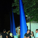 3737177.jpg