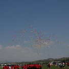 3741089.jpg