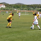 3741094.jpg