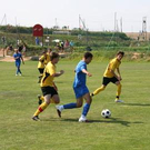 3741110.jpg