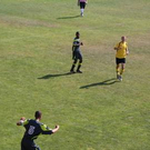 3741129.jpg