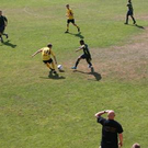 3741132.jpg