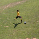 3741134.jpg