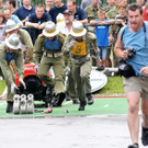 3742530.jpg