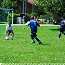 3745952.jpg
