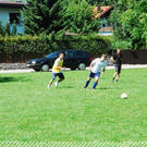 3745993.jpg