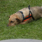 c013.jpg