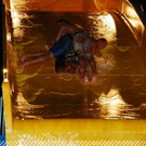 3746203.jpg