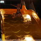3746205.jpg