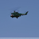 3748247.jpg