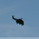 3748248.jpg
