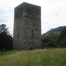 Tostner Burg August 2010.jpg