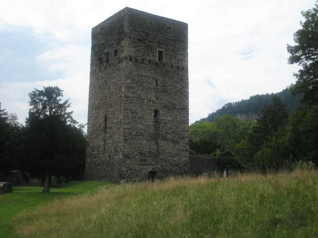 Tostner Burg August 2010.jpg