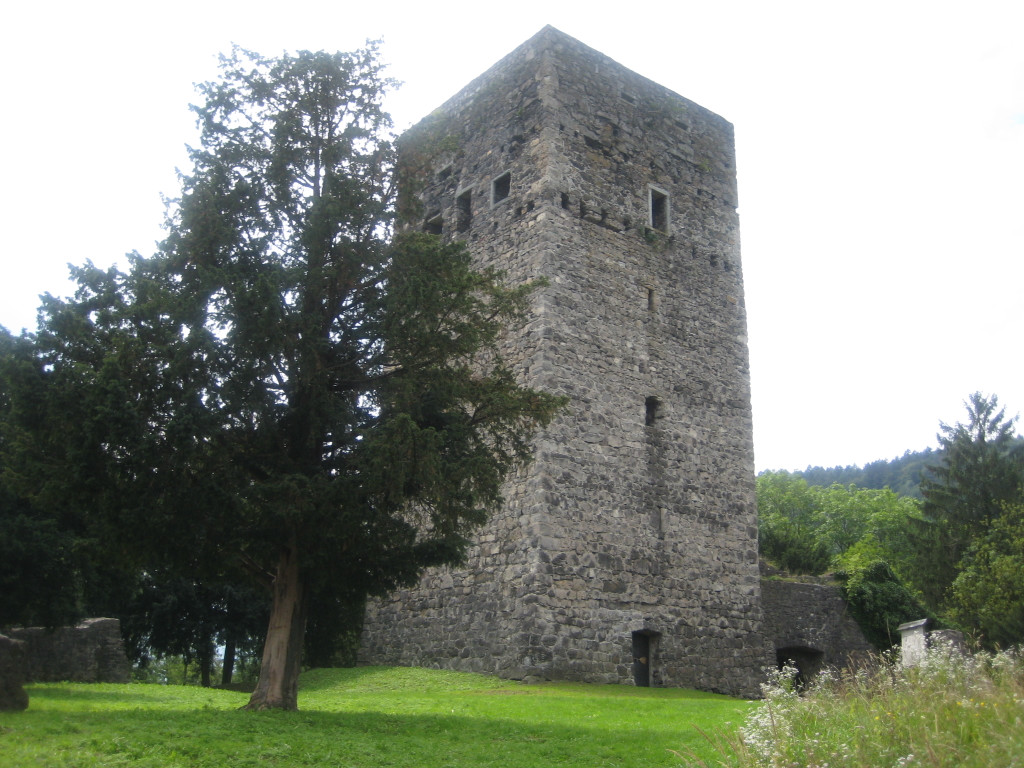 Sommer_2010 056.jpg