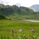 KOE_Wandertipp K__rbersee 4_jpg-1281624444