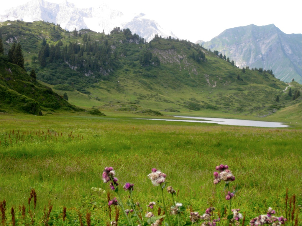 KOE_Wandertipp K__rbersee 4_jpg-1281624444
