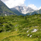 KOE_Wandertipp K__rbersee 13_jpg-1281624506