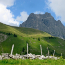 KOE_Wandertipp K__rbersee 27_jpg-1281624616