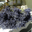 104_7104_jpg-1281634543