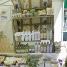 104_7105_jpg-1281634545