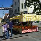 104_7139_jpg-1281634622