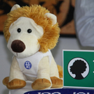 Pressekonf_  Fc Lustenau - Altach  010 027_jpg-1281700834