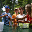 Eichenberg Kindernachmittag am Wasser _11_.jpg
