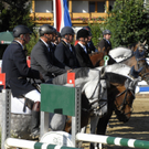 _DSC0449_JPG-1281703084