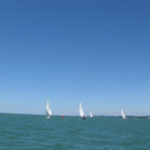Yachtclub Regatta _1_.jpg