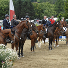 _DSC0918_JPG-1281730342