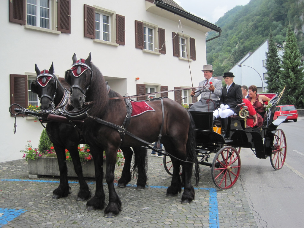 IMG_4122_JPG-1281774719