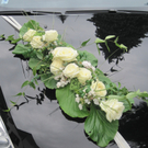 IMG_4143_JPG-1281776335