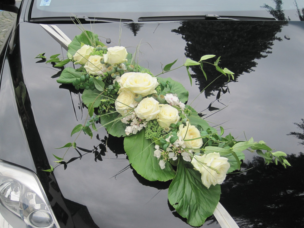 IMG_4143_JPG-1281776335