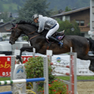 Pferdesport am 13. August