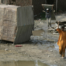 Aktuelle Bilder aus Pakistan