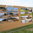 Renaturierung Seeufer Besichtigung _12_.jpg