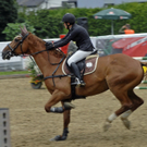 _DSC0175_JPG-1281806338