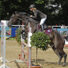 _DSC0846_JPG-1281877708