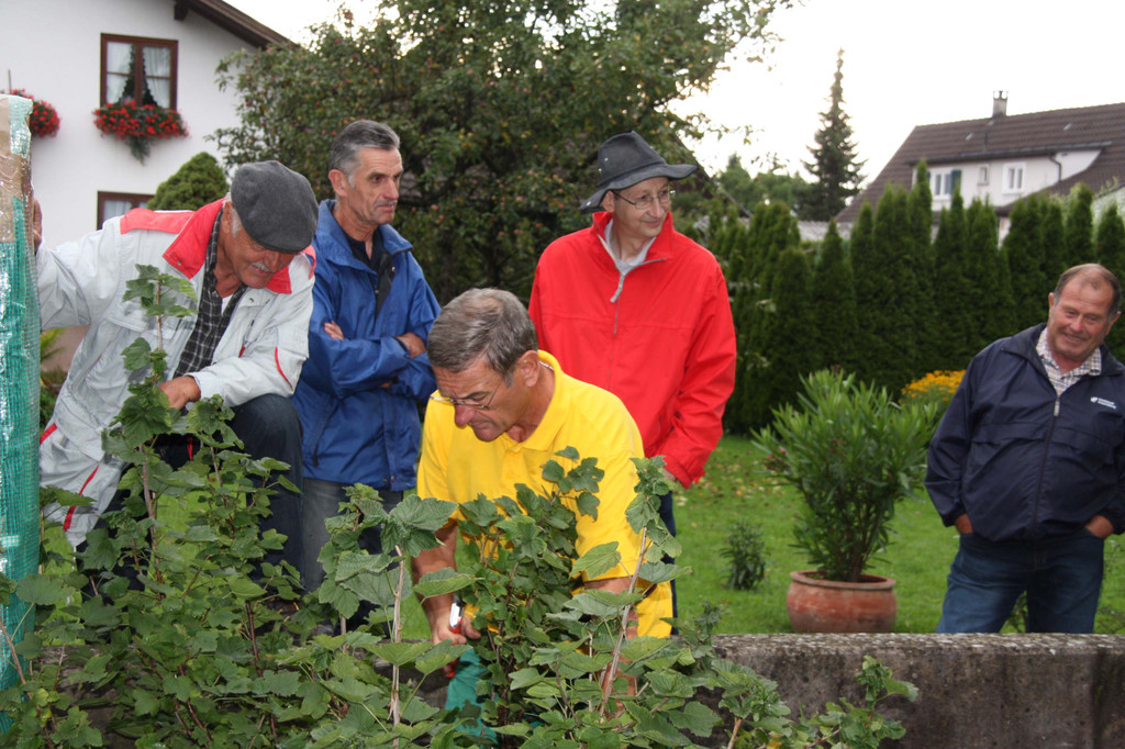 Baumschnittkurs 8.jpg