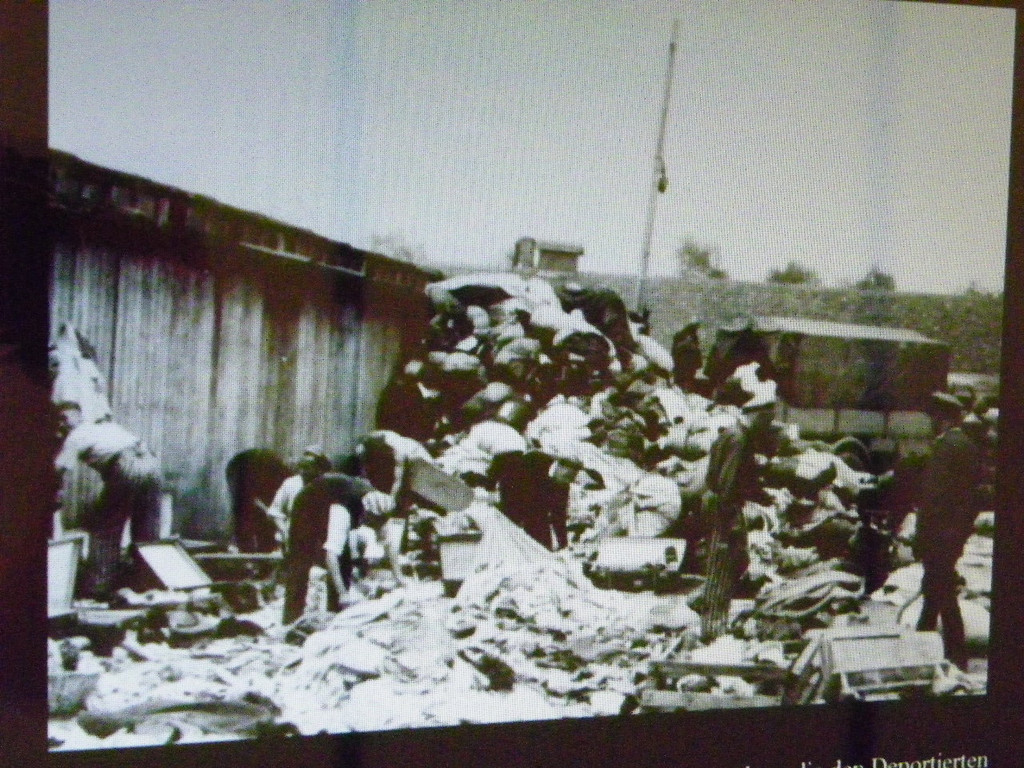 104_8483_jpg-1281904299