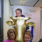 Ausstellung "tierleben"
