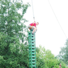 3750505.jpg