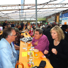 DSC00329_JPG-1281955836
