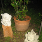 50_ Klaus Zimmermann_2010 08 14_0042.JPG