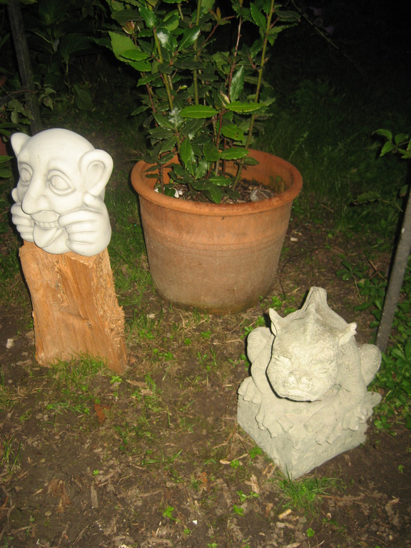 50_ Klaus Zimmermann_2010 08 14_0042.JPG