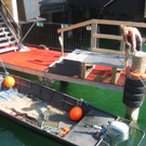 IMG_0501_JPG-1282029281