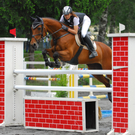 Montafoner Reitsporttage in Schruns