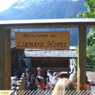 Lama-Trekking-Tour: KiGa St. Anton i. M.