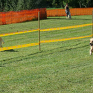 P1170724.JPG